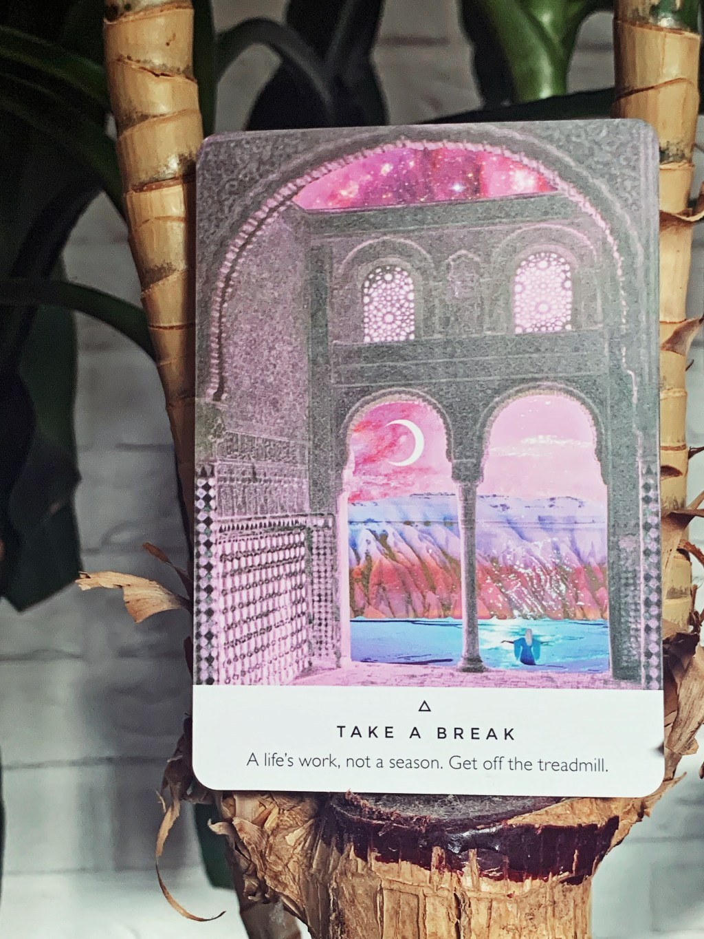 Curiosity of the Day: Leo Season and Full Moon in&nbsp;Aquarius