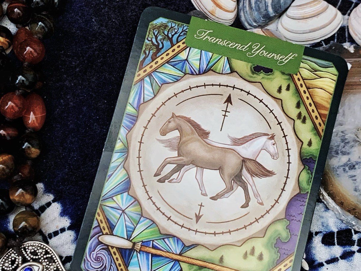 Curiosity of the Day: Andalusian&nbsp;Horse