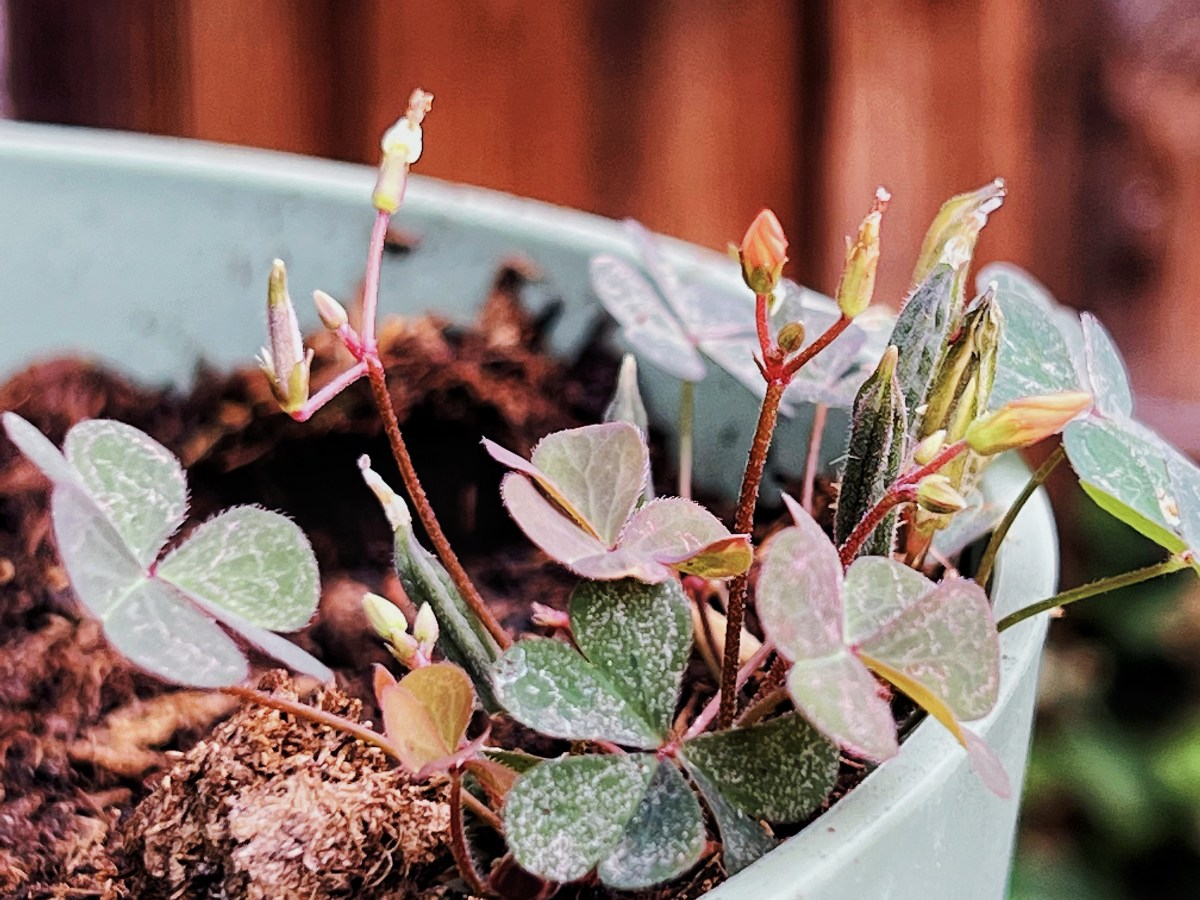 Quote of the&nbsp;Day