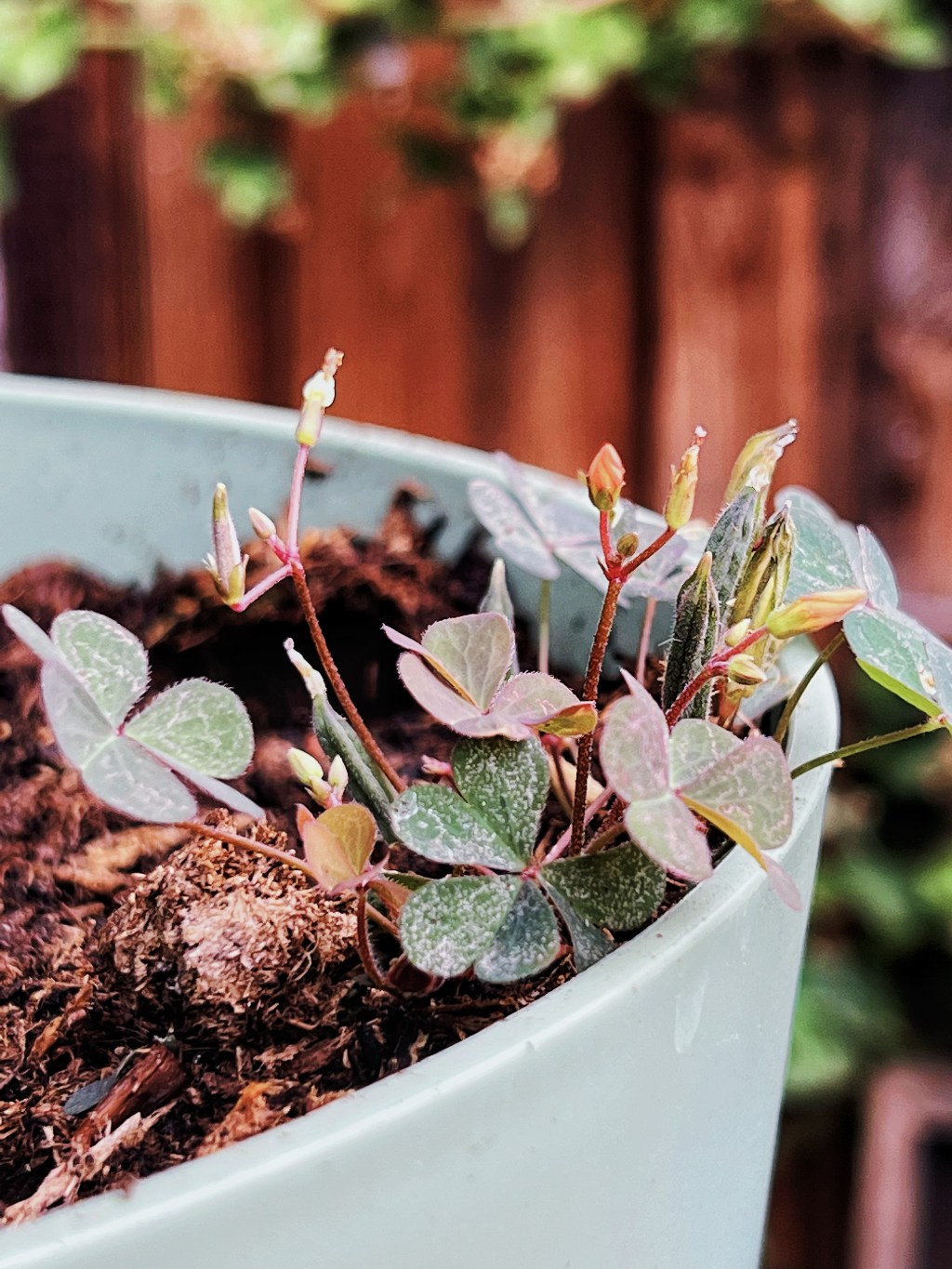 Quote of the&nbsp;Day