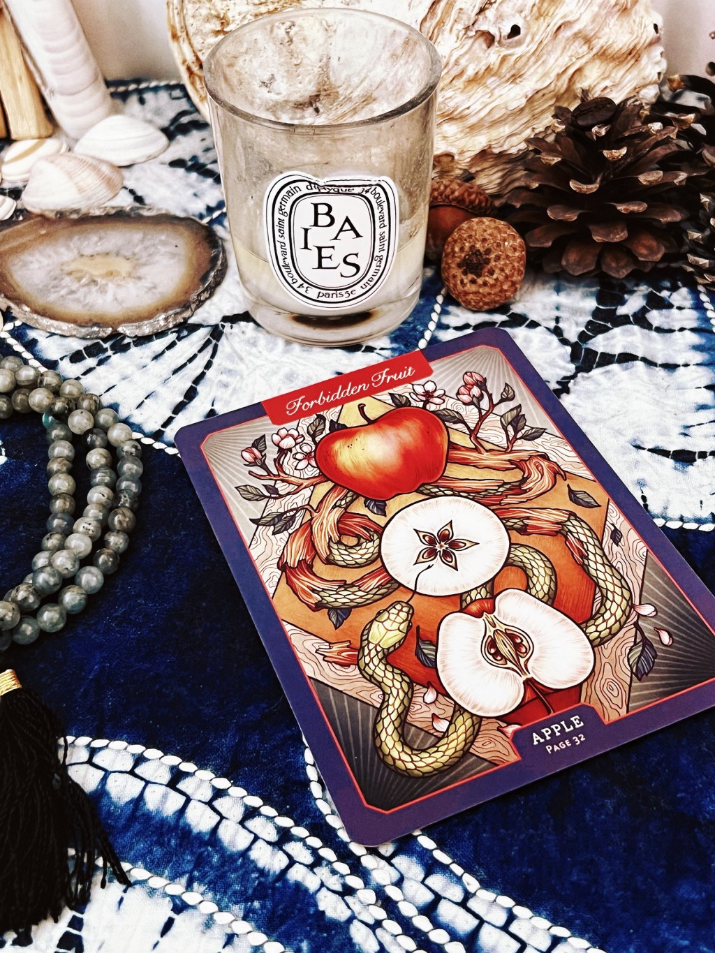 Curiosity of the Day:&nbsp;Apple